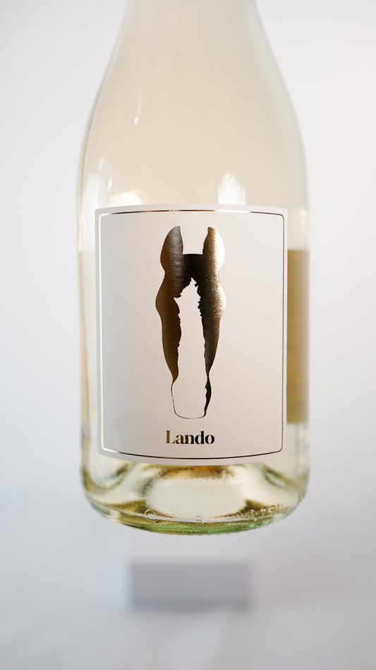 Flasche mit individuellem Pferdekopf