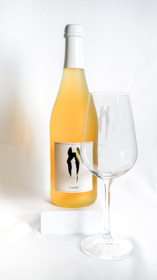 Set: Flasche & Glas mit individuellem Pferdekopf