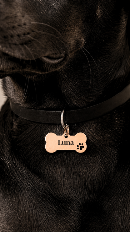 Anhänger für Hundehalsband mit Name